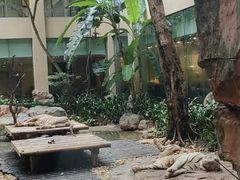 -麒麟中餐厅·经典粤菜·地道菜式老字号(广州长隆酒店)