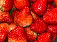 -麦德龙(嘉定店)