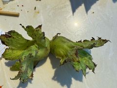 -蓝珊甄选海鲜自助·火锅大排档(近阿那亚店)