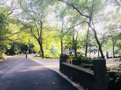 -灵谷景区
