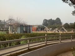 -洪湖家庭农场·团建·露营·会议