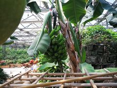 -兰陵国家农业公园