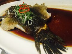 -沪碟·精菜坊(闵行店)