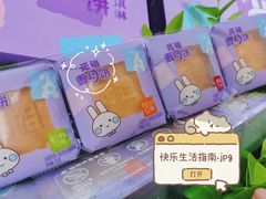 -GANSO元祖食品(沪青平店)