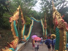 -西双版纳勐泐文化旅游区