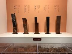 -安徽博物院新馆
