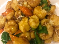 -枫林饺子
