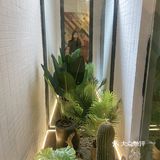 趙作/街边宝藏甜品店