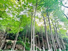 -幕燕滨江·燕子矶公园