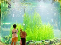 -海合安成都极地海洋公园