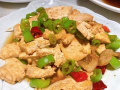 家常豆腐-佬肥猫(国华广场店)