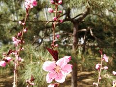 -仁和公园(顺义区)