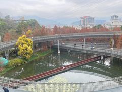 -福道