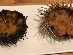 -海胆小馆(东北水饺·春柳店)