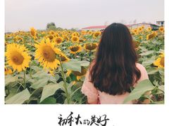 -映月湖中央公园