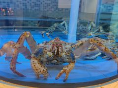 -红顶食府(滨湖九号店)