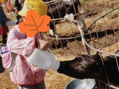 -甲乙果 美术书法(通州校区)