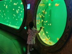 -华夏文旅西安度假区