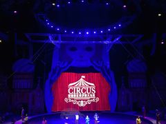 -俄罗斯国家大马戏团