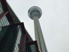 -澳门旅游塔360°旋转餐厅(南湾湖广场店)