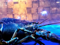 水产区-EN SPACE恩空间