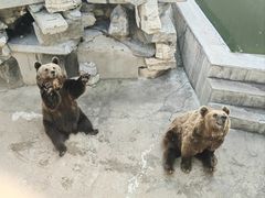 -保定市动物园