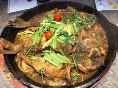 -老板恋上鱼(恒隆广场店)