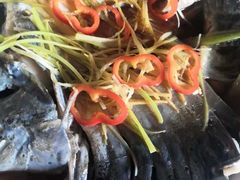 -煲来饱去冷水鱼