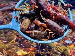 -聚盛源蒸汽海鲜火锅烤肉自助(巨川金海岸购物广场店)