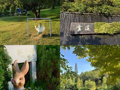 -云溪植物园