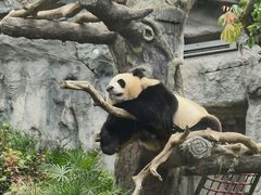-石排湾郊野公园