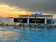 -三亚海昌梦幻海洋不夜城