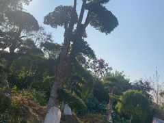 -武汉紫薇都市田园