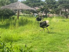 -沈阳森林动物园