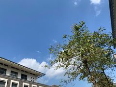 -上海海洋大学(临港校区)