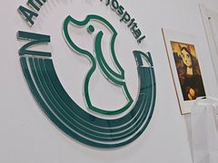 -中农国际动物医院24小时·猫科·骨科·急重症中心