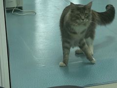 -美美宠物诊疗中心·异宠·骨科(滨江东信分院)