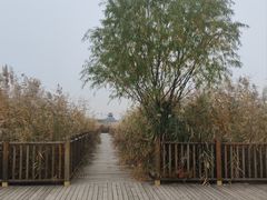 -水西公园