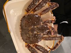 -蟹将军·松叶蟹和牛日料放题自助(K11店)