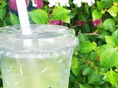 -茶救星球·蔬果茶(福田水围店)
