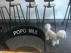 -ICEPOPO MILK(玉兰店)