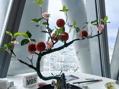 -广州塔晖粤轩中餐厅