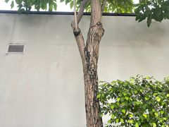 -海悦山庄酒店-花园泳池