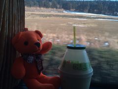 -济州岛泰迪熊博物馆