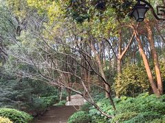 -杭州半山国家森林公园