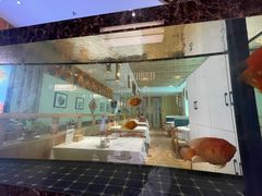 -原鄉本味 楚菜 丹江口鱼(北苑店)
