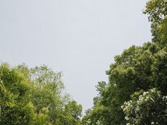 -上海吴淞炮台湾国家湿地公园
