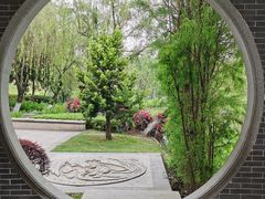 -映月湖公园