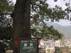 -绩溪龙川景区