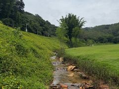 -黄埔油麻山森林公园